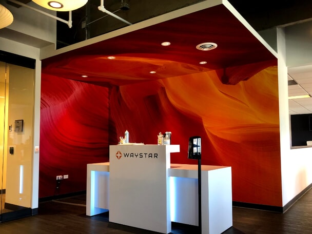 Vinyl Wall Graphics